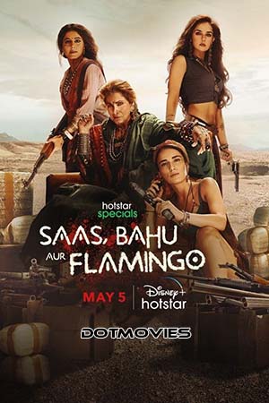 Saas Bahu Aur Flamingo (Season 1) Hindi Disney- Hotstar Complete WEB Series 480p | 720p | 1080p WEB-DL Saas Bahu Aur Flamingo (Season 1) Hindi Disney- Hotstar Complete WEB Series 480p | 720p | 1080p WEB-DL